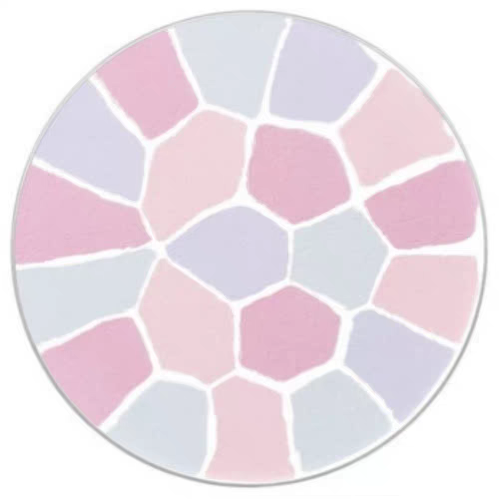 日本ALBION澳尔滨 Elegance 雅莉格丝 欢颜蜜粉饼 家庭装 27g E大饼