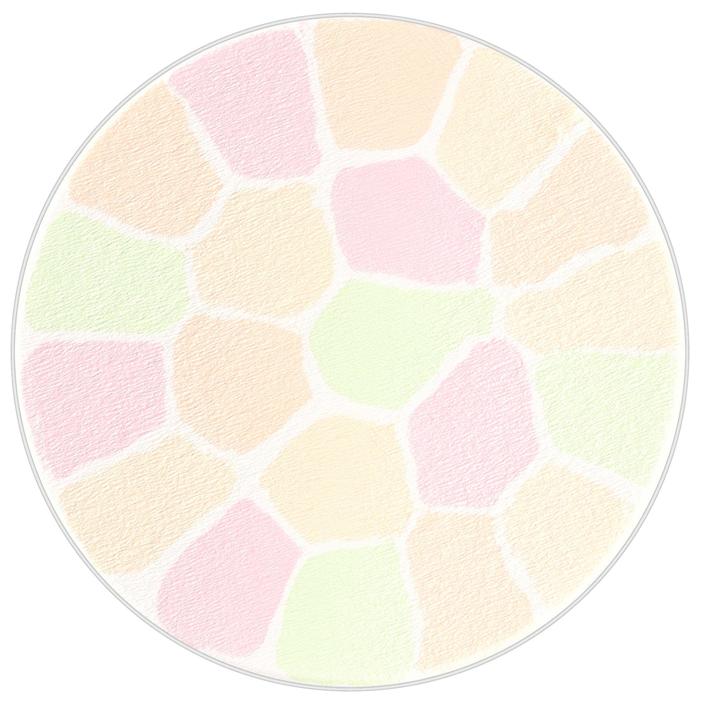 日本ALBION澳尔滨 Elegance 雅莉格丝 欢颜蜜粉饼 家庭装 27g E大饼