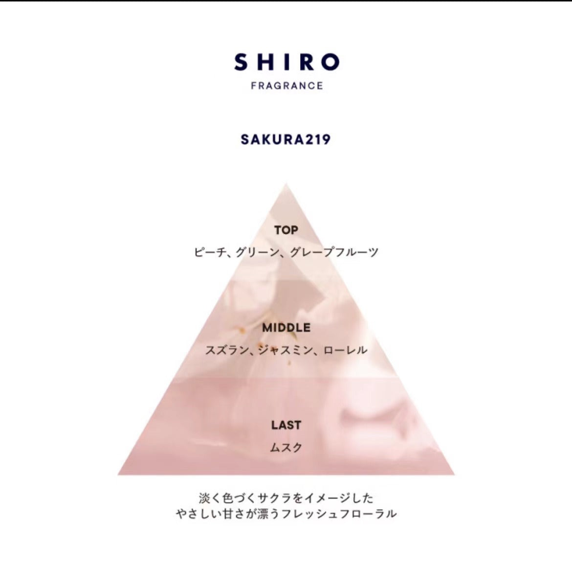 🇯🇵SHIRO 2024，Shiro Sakura, Fragrance Diffuser