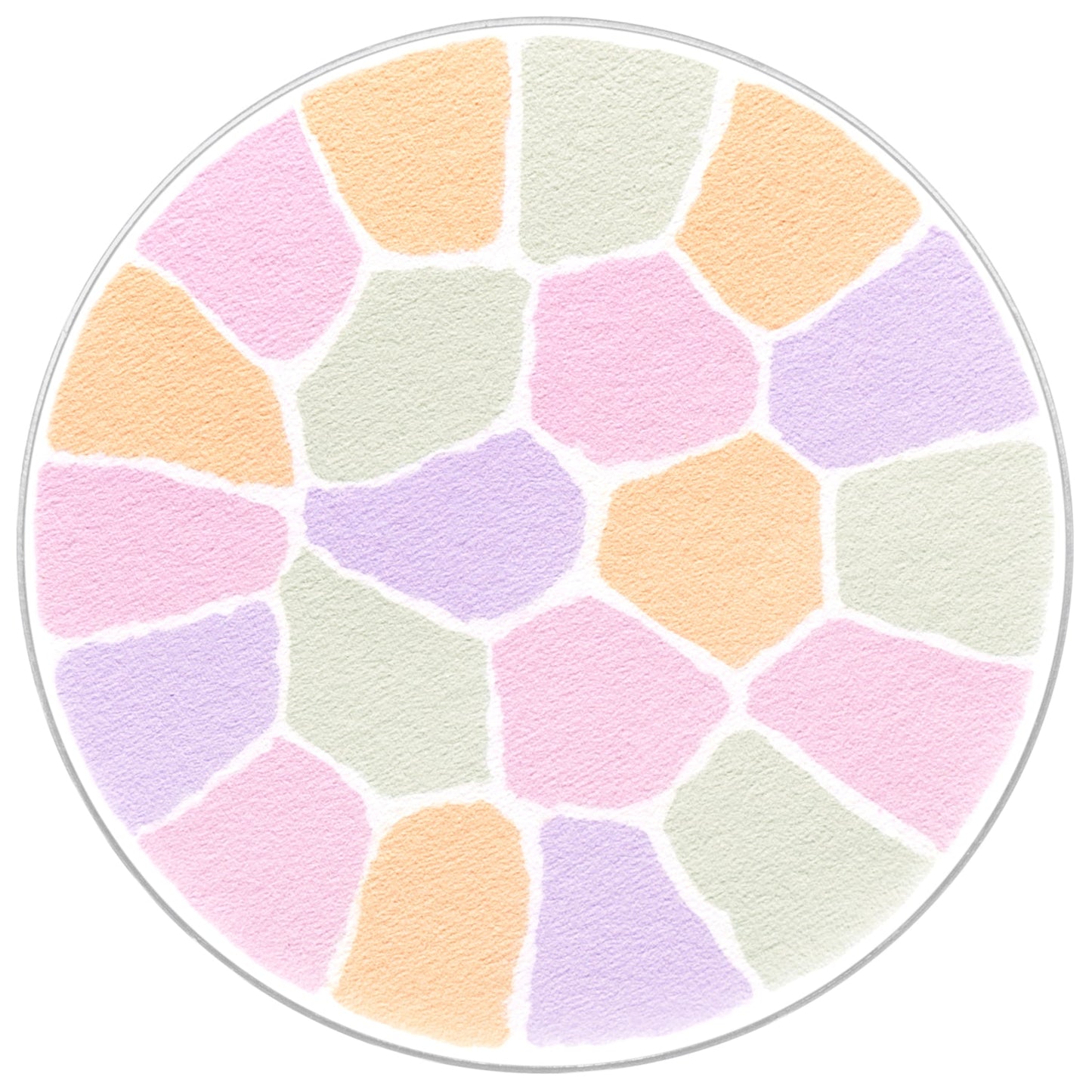 日本ALBION澳尔滨 Elegance 雅莉格丝 欢颜蜜粉饼 家庭装 27g E大饼