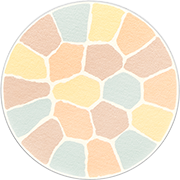 日本ALBION澳尔滨 Elegance 雅莉格丝 欢颜蜜粉饼 家庭装 27g E大饼